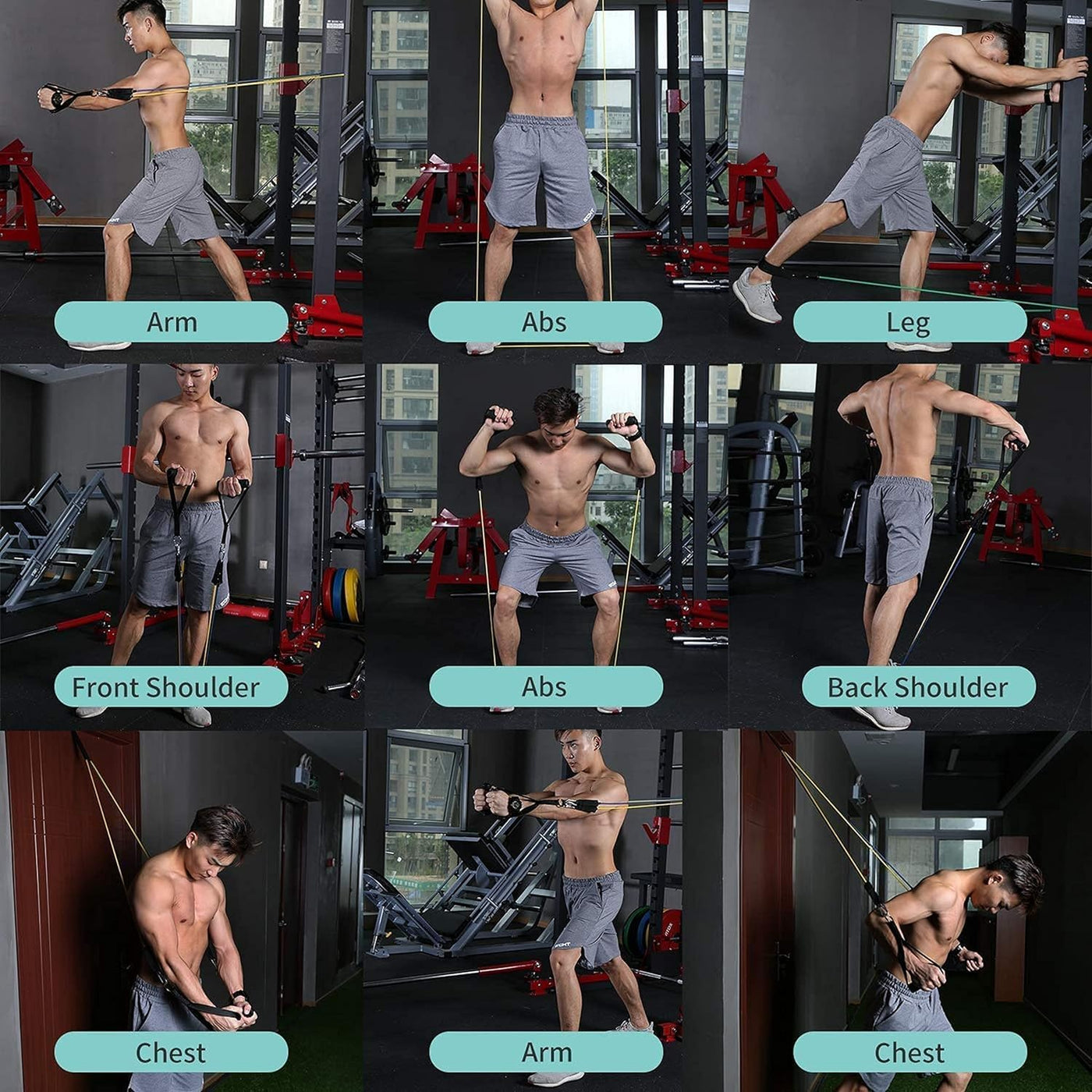 Gym Belt with Box 5-in-1Packing